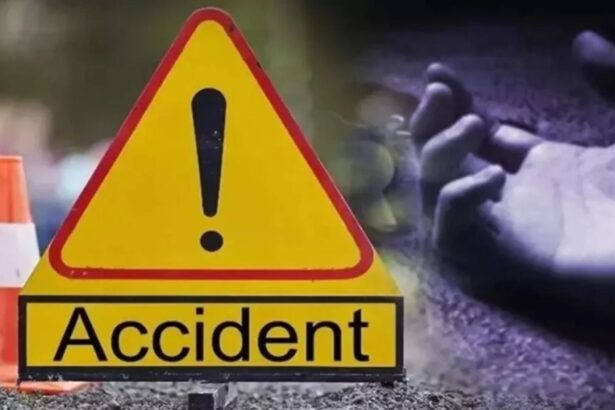 un sofer a lovit mortal un pieton apoi le a spus anchetatorilor ca l a gasit intins pe carosabil 68d7a479a50c4