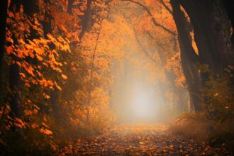 zodiile care vor renaste incepand cu 16 septembrie 2025 au loc schimbari de macaz in viata lor 68c8e8c21119c