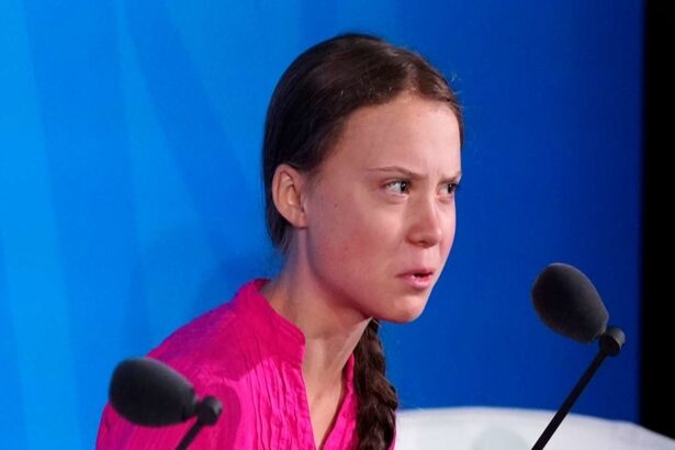 activista de mediu greta thunberg spune ca este retinuta de israel intr o celula infestata cu plosnite 68e15333a9266