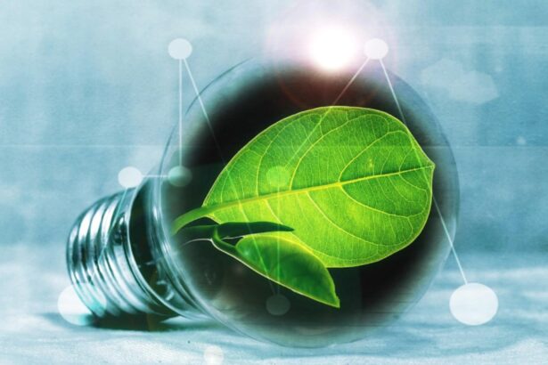 camera deputatilor a adoptat legea prosumatorilor 68ef85ce275c4