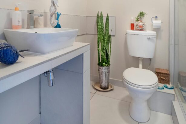 de ce se face praf in baie ce trebuie sa faci ca sa previi aparitia acestuia 68e4c421a4bef