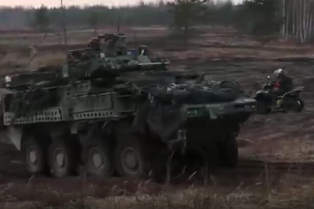 donald trump nu isi cheama soldatii din estonia 6903cffd65e76