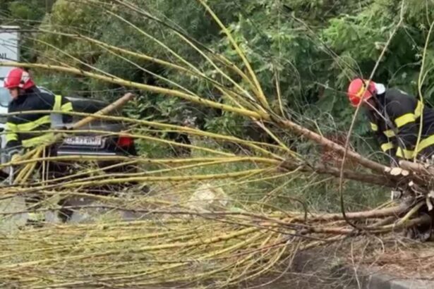 furtuna si ploaia fac ravagii in bucuresti acoperisuri si copaci doborate de vantul puternic 68dede1ab4c66