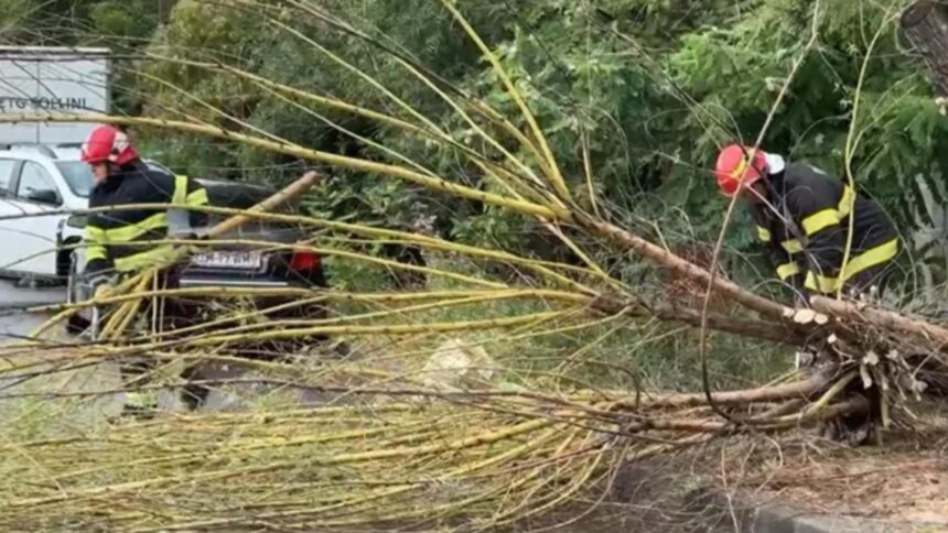 furtuna si ploaia fac ravagii in bucuresti acoperisuri si copaci doborate de vantul puternic 68dede1ab4c66