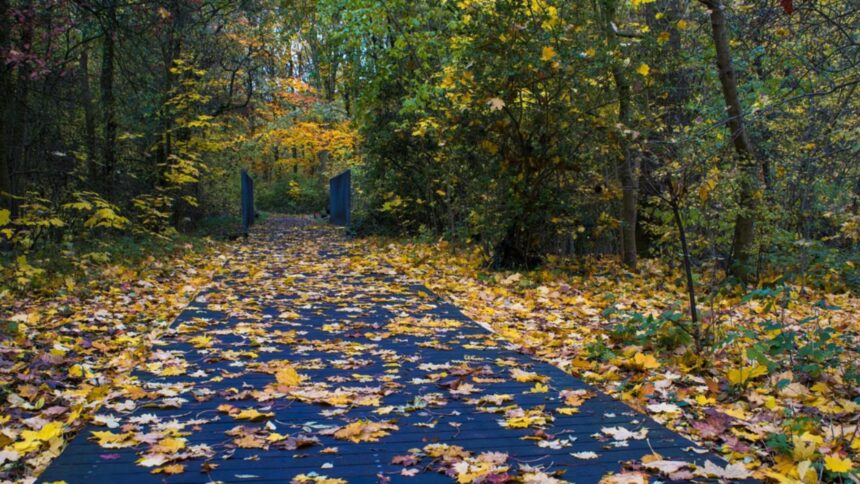 meteo 4 octombrie vreme rece cu ploi si lapovita si ninsoare la munte 68e09eacb8116
