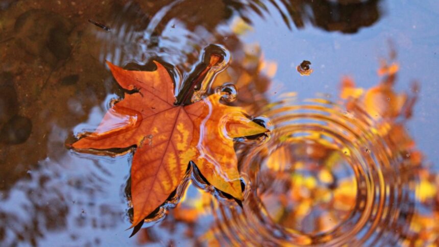 meteo 5 octombrie sfarsit se saptamana cu temperaturi neobisnuit de scazute 68e1f2427daa7