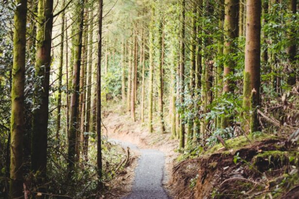 navigatia le a creat probleme familie cu 5 copii blocata pe un drum forestier din judetul buzau au intervenit jandarmii montani 68e360168a3a0