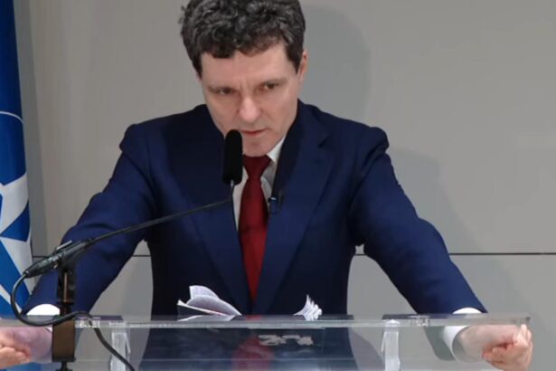 nicusor dan a vorbit despre anularea alegerilor din romania si spune ca vine cu dovezi in scurt timp voi prezenta public concluziile 68fc6fcea3e0c