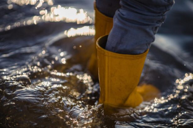 nu vine potopul specialistii explica de ce ploaia din aceste zile nu e un dezastru ci o necesitate 68e571e27250f