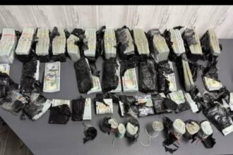 ucraineanca oprita la granita cand voia sa intre in romania cu un milion de euro banii erau ascunsi langa motorul masinii 68e95a54bd456