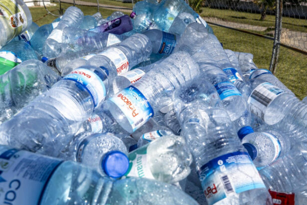 video microplasticele ajung in creier arata un studiu acumulam pana la 5 grame din particulele care provoaca boli grave 68ee9be95efc3