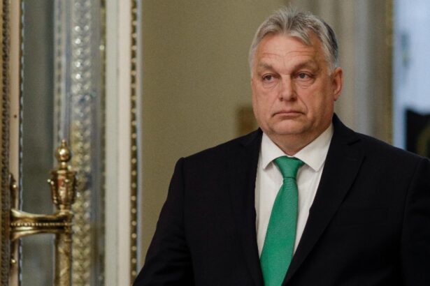 viktor orban inainte de congresul udmr ungaria este interesata de succesul economiei romanie 68e8b4288d76a