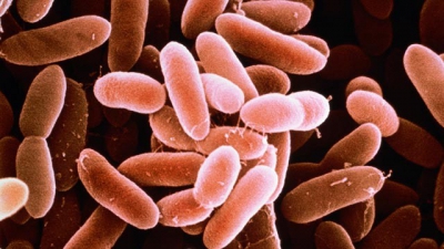 alerta alimentara in romania peste contaminat cu bacteria listeria retras din magazine 692c8d0888c88