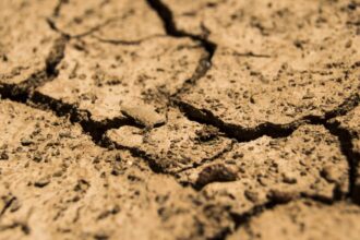 alerta in europa scaderea rezervelor de apa devine critica cum este afectata romania 692c83ac3e44c