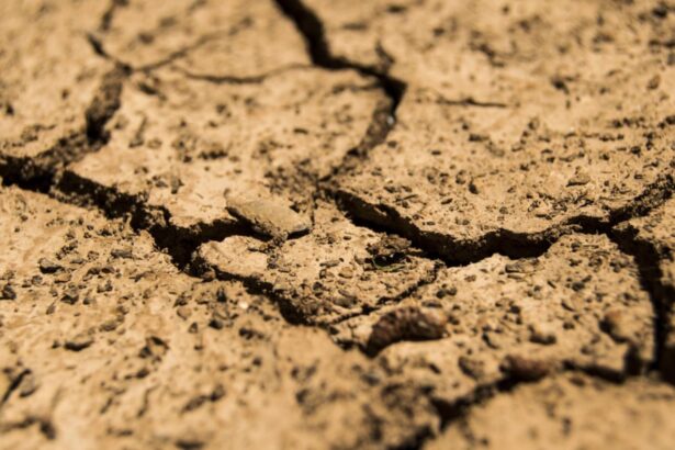 alerta in europa scaderea rezervelor de apa devine critica cum este afectata romania 692c83ac3e44c