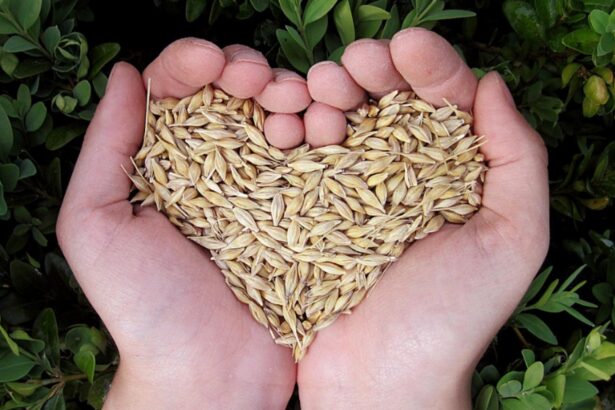 alimente care curata vasele de sange si sustin sanatatea inimii 6923fed57cc27