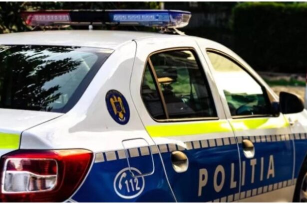 bataie ca n codru intr un parculet din bucuresti doi tineri au fost retinuti dupa ce au lovit si amenintat cu moartea un adolescent 6929c48cd04a2