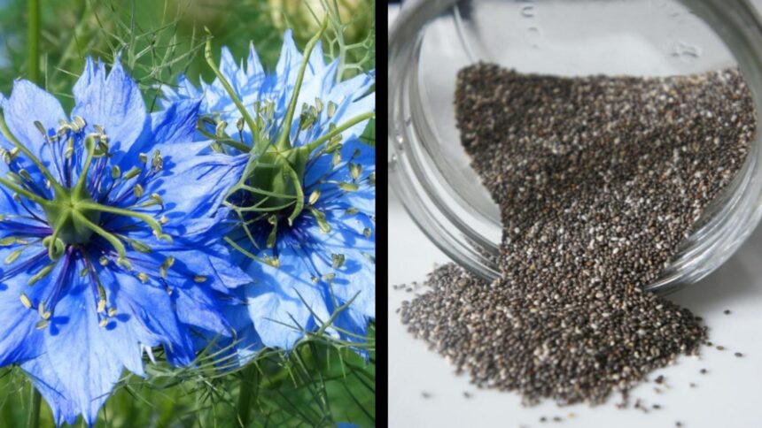 condimentul care ajuta la combaterea obezitatii si scaderea colesterolului 69245332eac5d