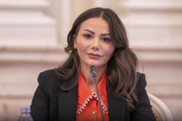 confruntarea momentului in fata magistratilor senatoarea valentina aldea si oana ungureanu cea care a lovit o cu o ranga urmeaza sa se intalneasca in instanta in zilele urmatoare 6928885f34990