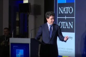 nicusor dan a comis o din nou ce gafa a facut in fata sefului nato 690c7675a9f90