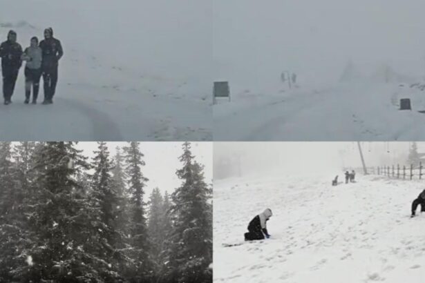 ninge abundent la ranca zapada de cativa centimetri drumarii intervin cu utilaje video 692ae5d3a8a1c