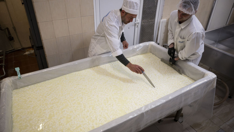 peste 7 300 de persoane private de libertate lucreaza in romania ce conditii trebuie sa indeplineasca detinutii si cum se impart banii 6925c1ab95572