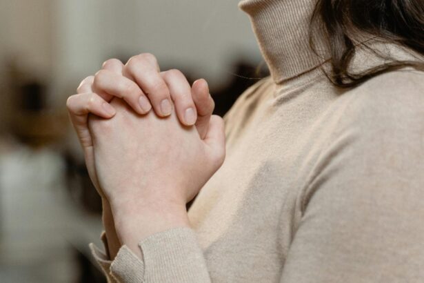 rugaciunea parintelui arseie boca canonizat astazi pe 28 noiembrie 69294985dc65e