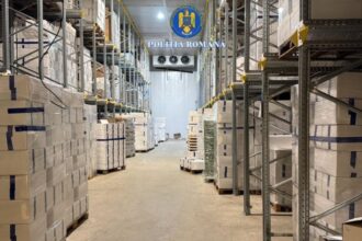 trei administratori de firme acuzati de un amplu mecanism de evaziune fiscala in comertul cu trufe si fructe de padure aproape 80 kg de trufe confiscate foto 692723e406909