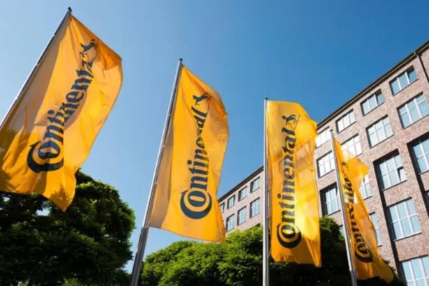 un gigant german vrea sa dea afara 1500 de romani una dintre cele mai mari companii din romania isi inchide afacerile din cauza austeritatii lui bolojan 69255165ada0a