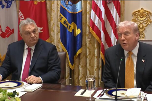 viktor orban le da lectii lui bolojan si nicusor dupa intalnirea cu trump cat timp el este presedinte iar eu prim ministru nu vor exista sanctiuni 6911cd1b7355f