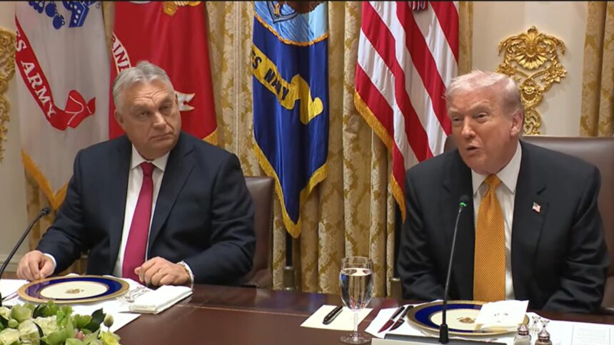 viktor orban le da lectii lui bolojan si nicusor dupa intalnirea cu trump cat timp el este presedinte iar eu prim ministru nu vor exista sanctiuni 6911cd1b7355f