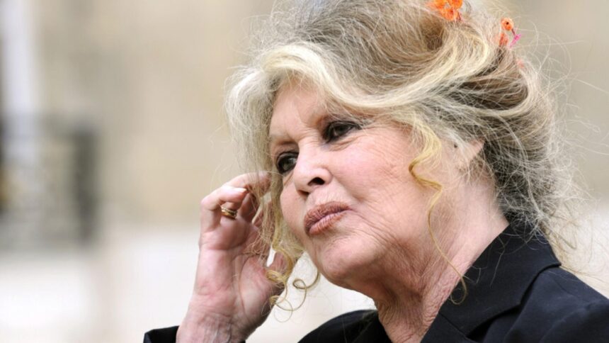 a murit brigitte bardot simbol al cinematografiei franceze si al libertatii feminine 69510c5bac416