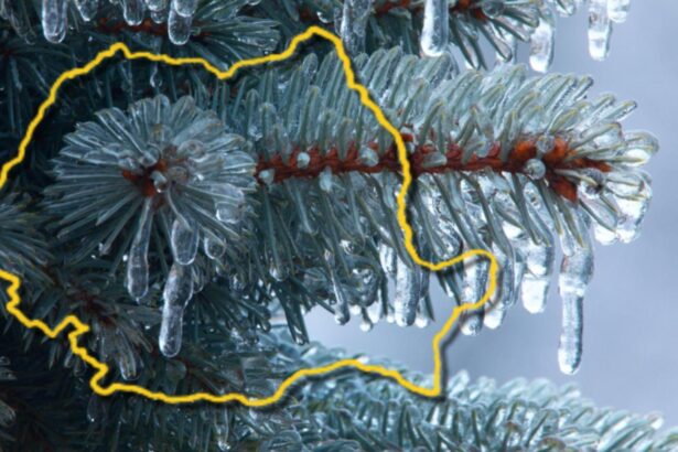 alerta de la anm cod galben de ceata si polei in cinci judete din tara in orele urmatoare 693fccf9e7d32