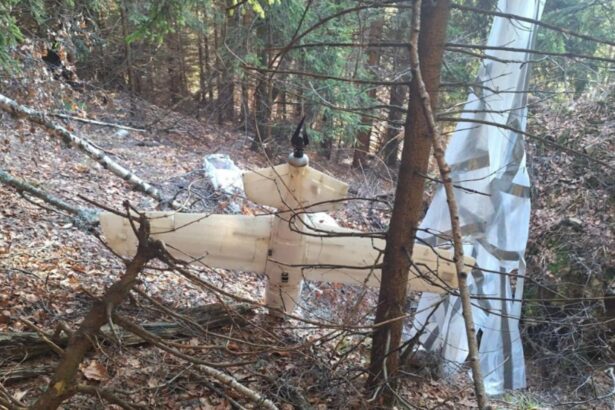 alerta in arges resturile unei drone descoperite intr o padure autoritatile sunt in alerta maxima 6947dcb7c6b60