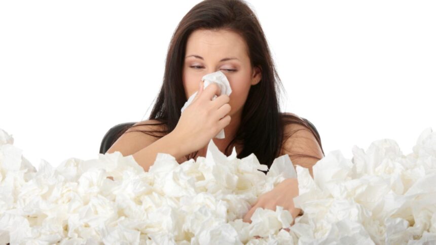 alerta sanitara in franta epidemia de gripa a atins nivelul maxim 6943ed18f0b0f