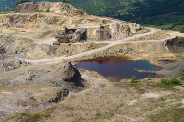 anaf anunta ca a inceput executarea silita a actiunilor detinute de gabriel resources limited la rosia montana gold corporation 694ae19f2d5d3