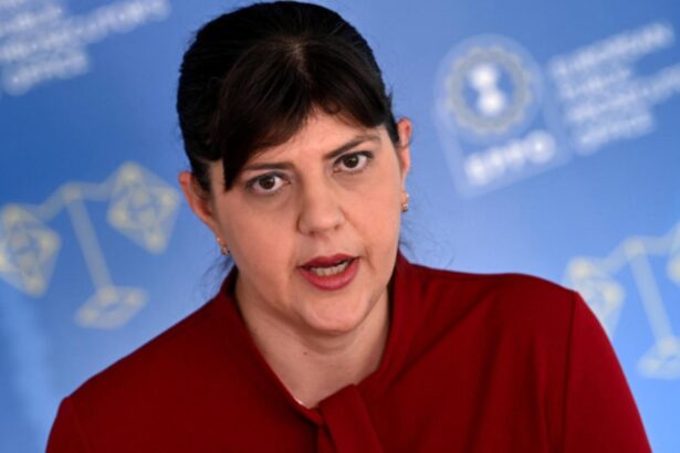 analiza kovesi zeita dreptatii pentru jurnalistii europeni 6931ad7670d38