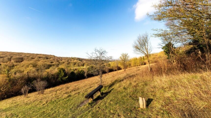 anm temperaturile vor ramane peste mediile climatologice pana la final de decembrie 692e9eecd15be