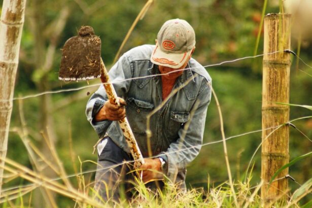 bani europeni pentru fermierii romani sesiune de finantare de 151 milioane euro din ianuarie 2026 69544557129f6