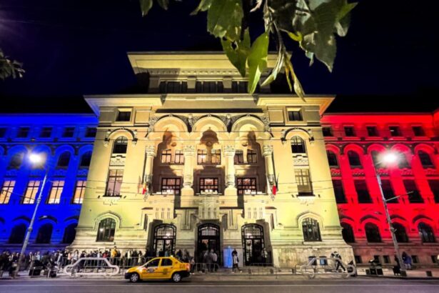 calendarul oficial pentru alegerile din 7 decembrie in capitala cand se inchide campania electorala 69335606c79fb