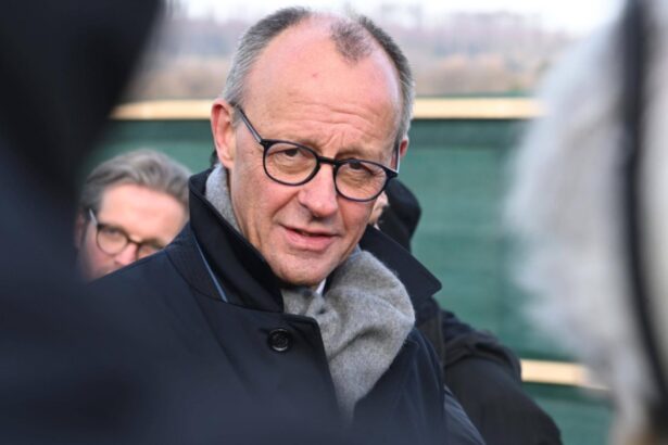 cancelarul friedrich merz si presedintele germaniei cauta personal cu cat sunt platiti meseriasii calificati care se asigura ca totul merge struna 6952b00020fa3