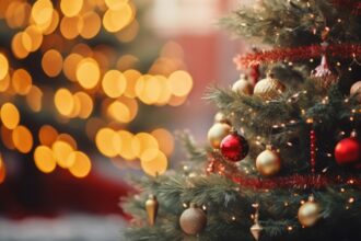 ce faci cu bradul natural dupa ce trec sarbatorile idei pentru a l reutiliza fara risipa 6952f6649fed0