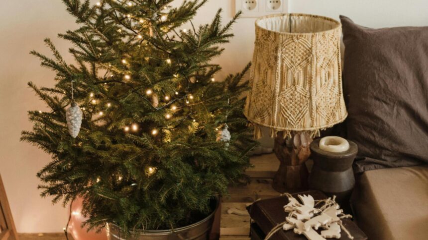 ce trebuie sa faci cu bradul natural de craciun ca sa reziste mai mult trucul pe care trebuie sa l cunosti 693673d66e5f6
