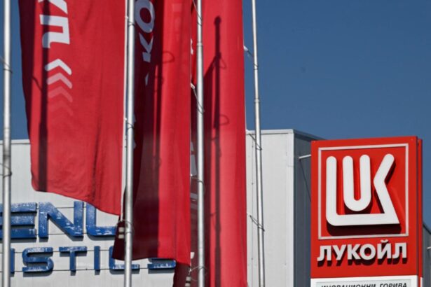 co proprietarul celui mai mare site porno din lume s a oferit sa cumpere activele lukoil 6930563088170