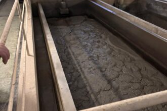 criza apei din judetul prahova cum arata apa potabila din orasul campina foto 692d4c101c517