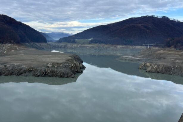 criza apei din prahova faza pasarii vinovatiei apele romane se spala pe maini situatia de criza s ar putea prelungi pana la 6 luni 692efa0ddac8d