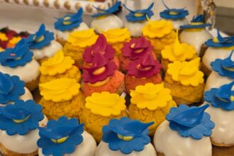 cu ce s au delectat invitatii la receptia de la palatul cotroceni bucate pe alese in culorile drapelului romaniei 692dcf4c240c7