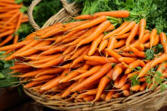 cum poti pastra morcovii proaspeti mai mult timp trucul pe care trebuie sa l cunosti 693699498e777