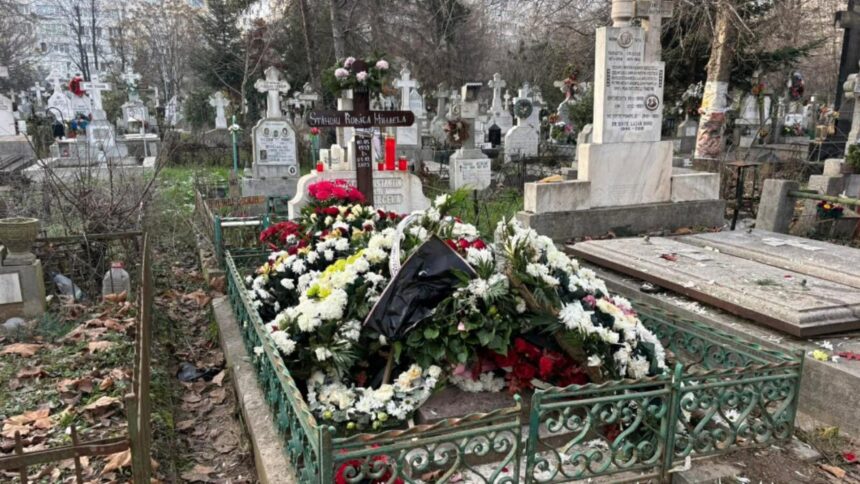 cum se va imparti averea rodicai stanoiu la cine ajung vilele 69453e85b3fb7