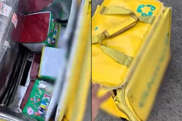 descoperire exploziva in bucuresti in ajun de anul nou jandarmii au gasit materiale pirotehnice intr o geanta de livrare a produselor alimentare 69552fb04c6b1